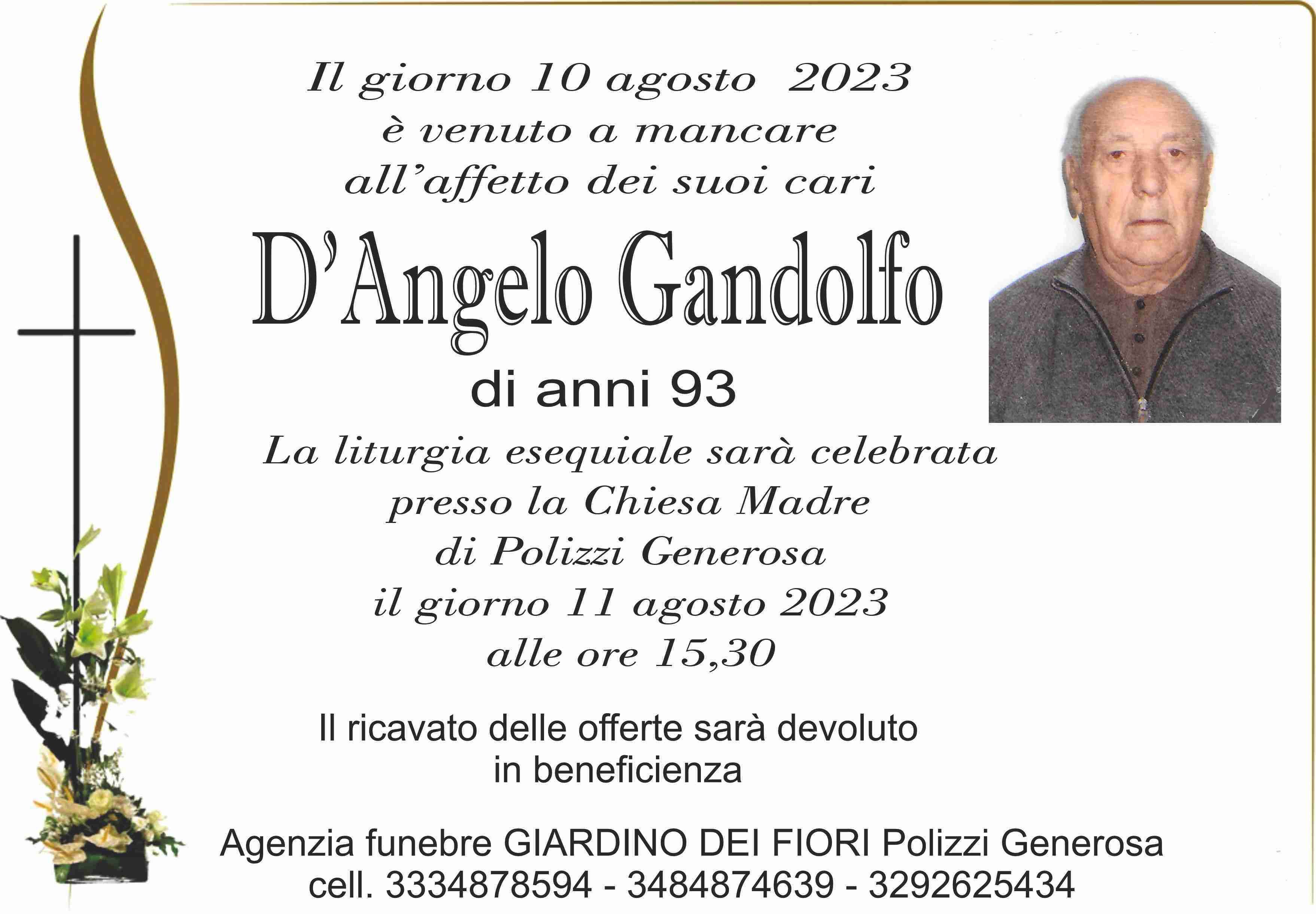 Gandolfo D'Angelo