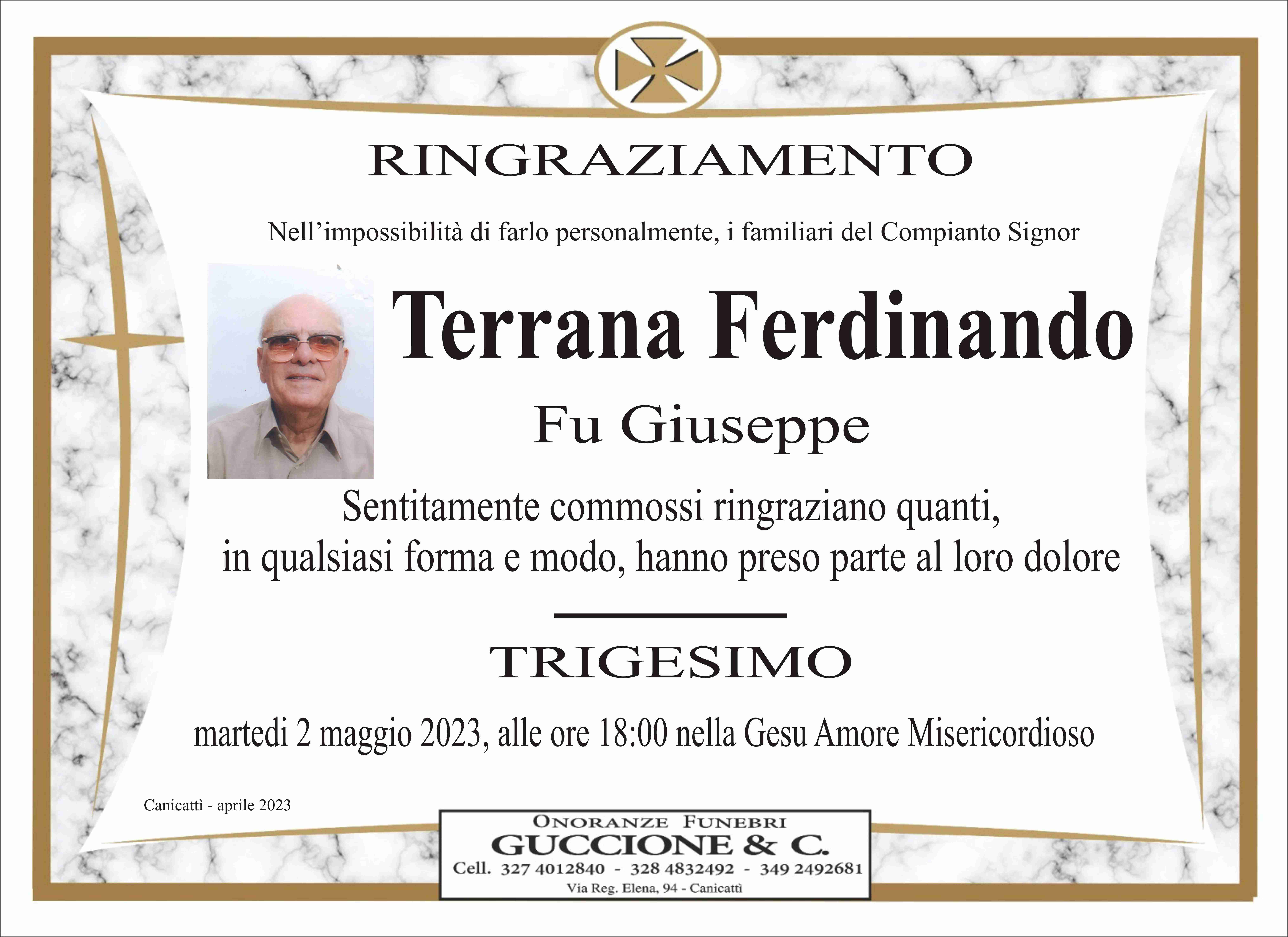 Terrana Ferdinando