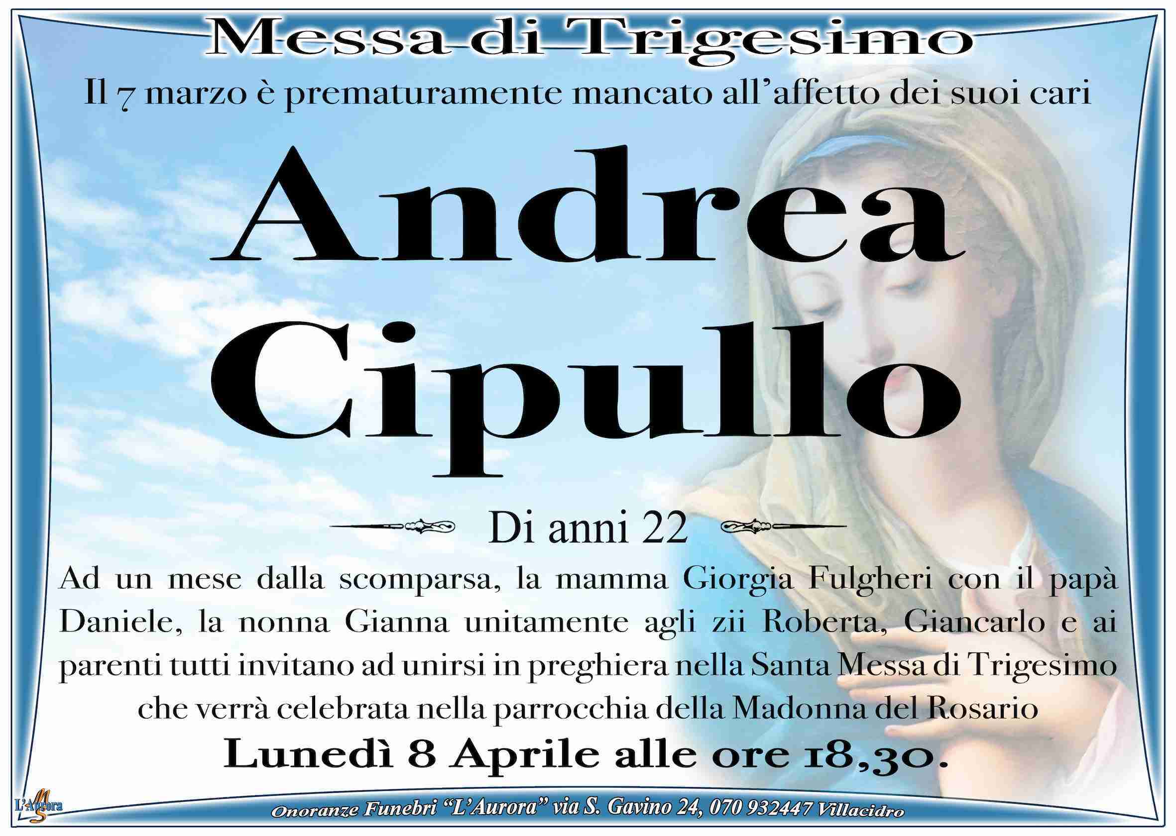 Andrea Cipullo