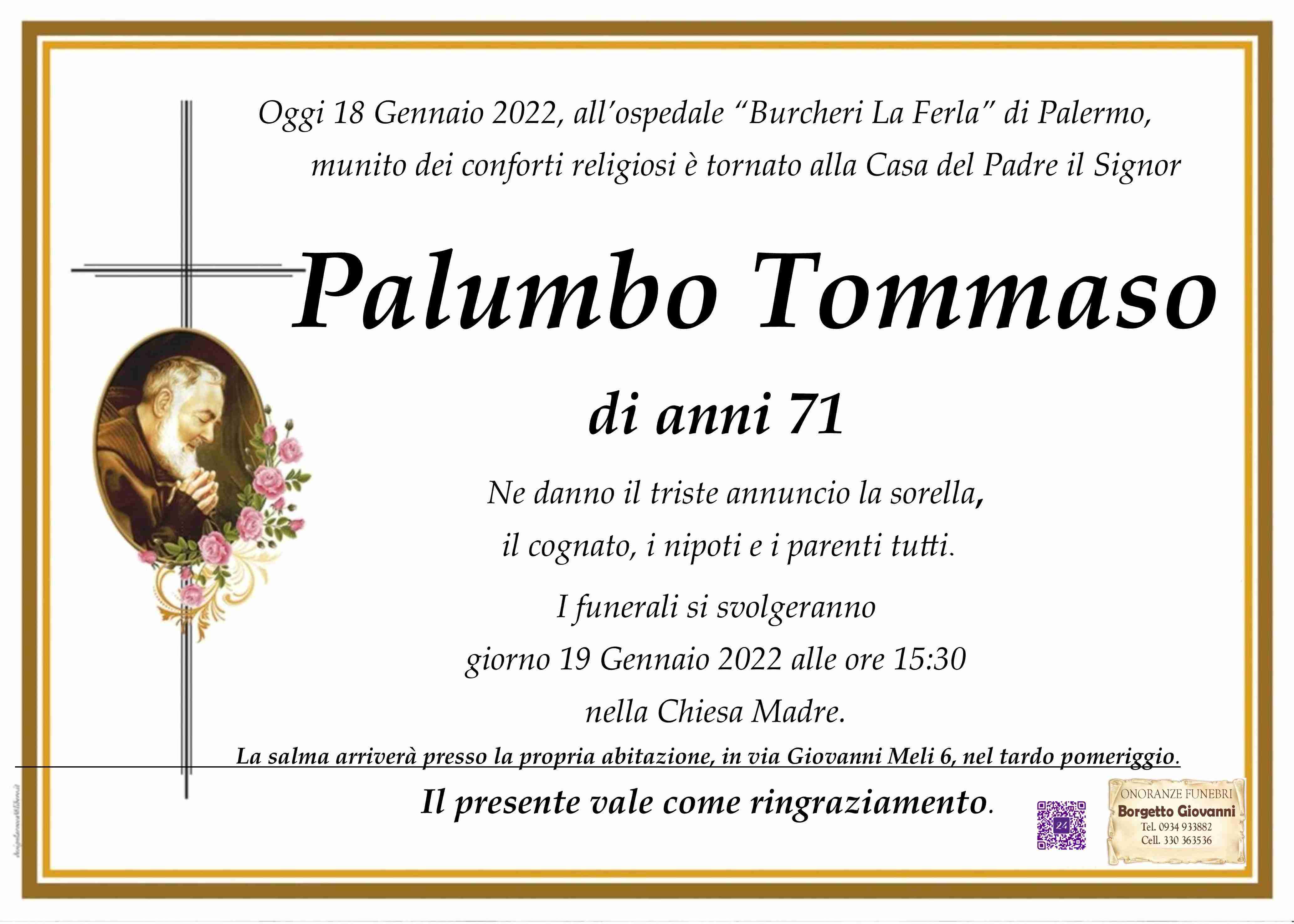 Tommaso Palumbo