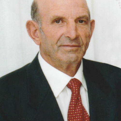 Leo Domenico