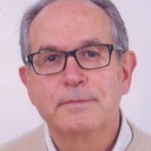 Fausto Pirani