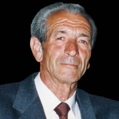 Giulio Vona