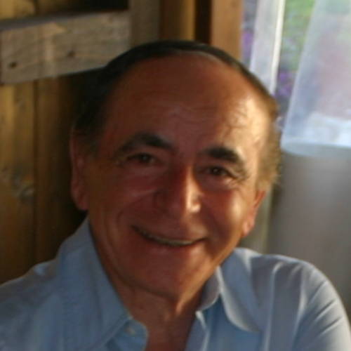 Giancarlo Puliti