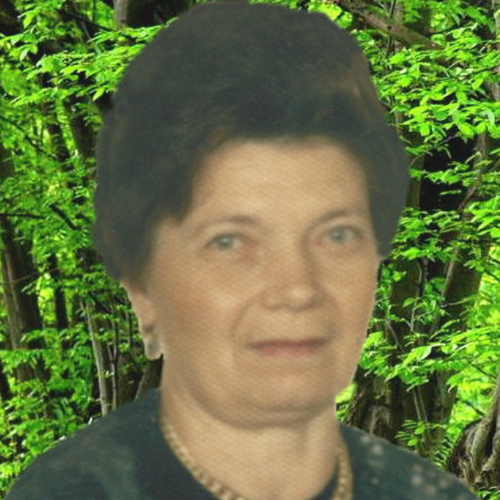 Maria Rocchetti