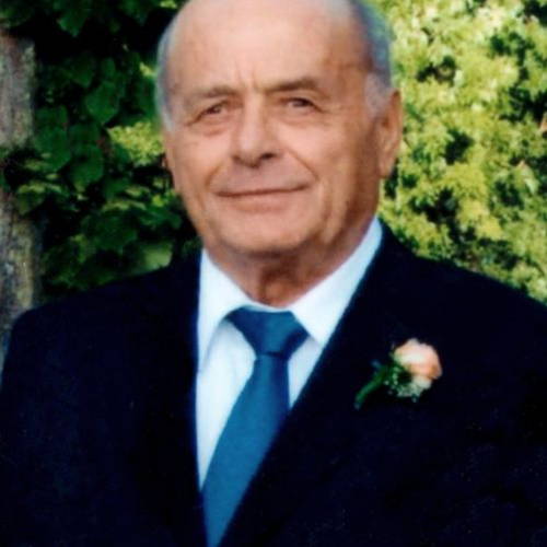 Dino Cotechini