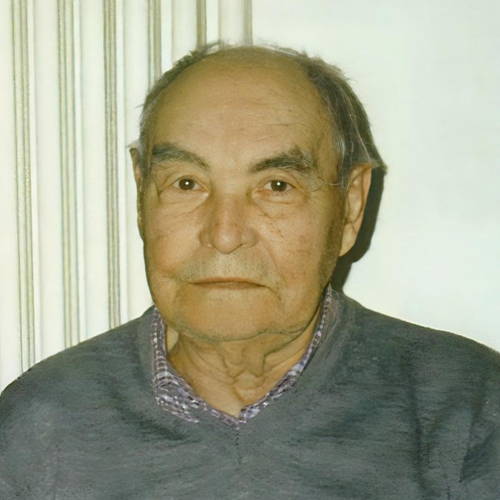 Giulio Zannoni