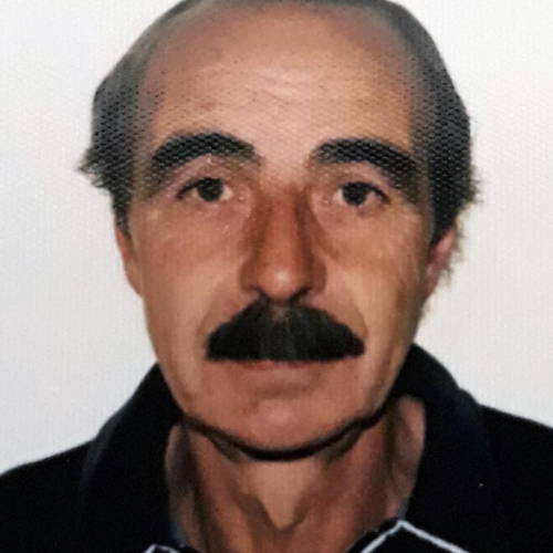 Giorgio  Fonnesu