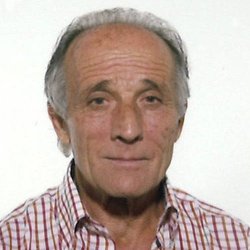 Olivio Lisi