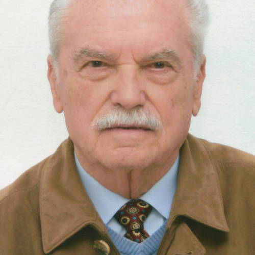 Domenico Negri