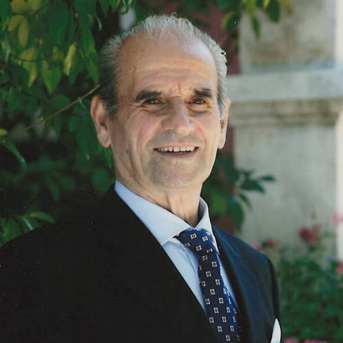 Domenico Paolo Fanelli