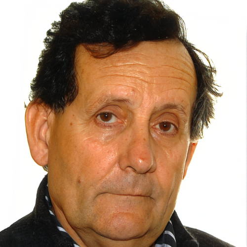 Massimo Simola