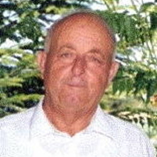 Umberto Pellegrini