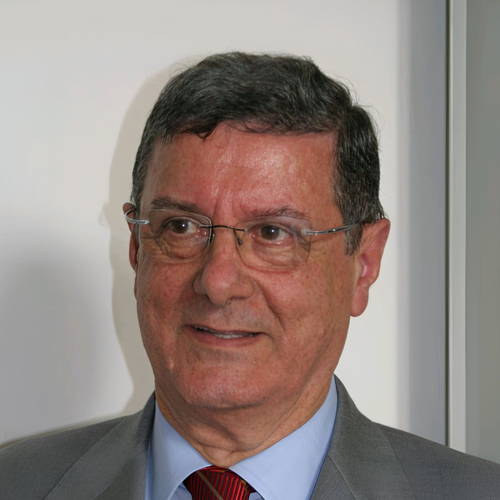 Raffaele Brigida