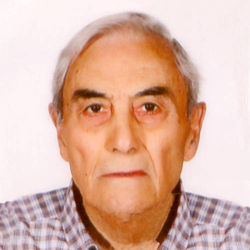 Luciano Ribolini