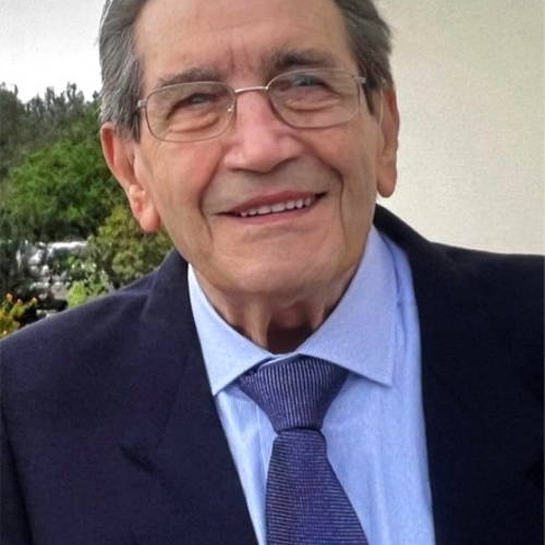 Michelangelo Furino