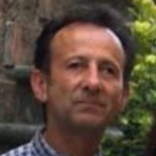 Raffaele Rosini