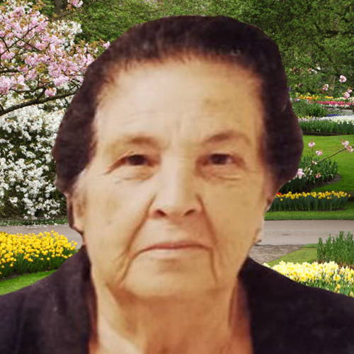 Maria Cocciu