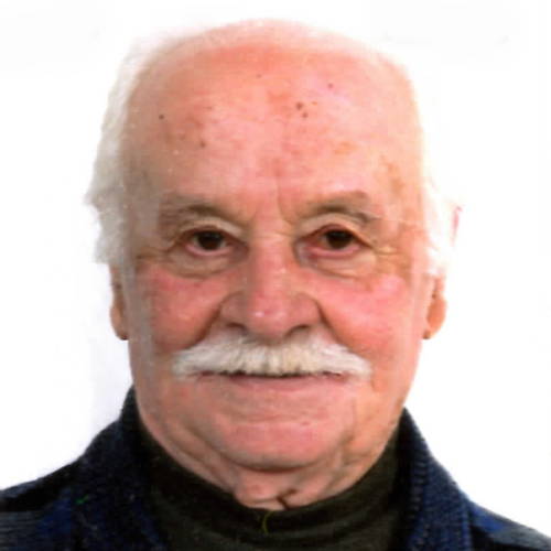 Enzo Alfonsi