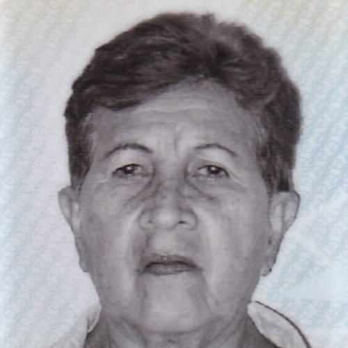 Salazar Ortiz Luz Maria