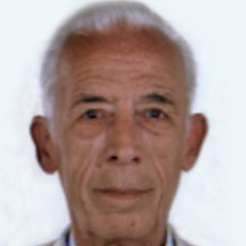 Mario Falleroni